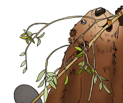 Cartoon beaver eating a branch.